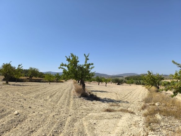 Land in Monóvar/Monóver - Caza De Casa