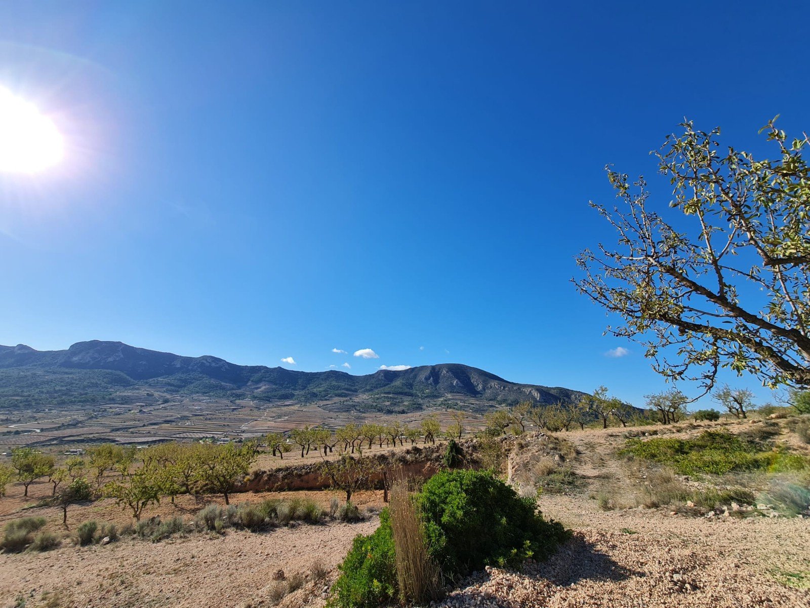 Land in La Romana - Caza De Casa