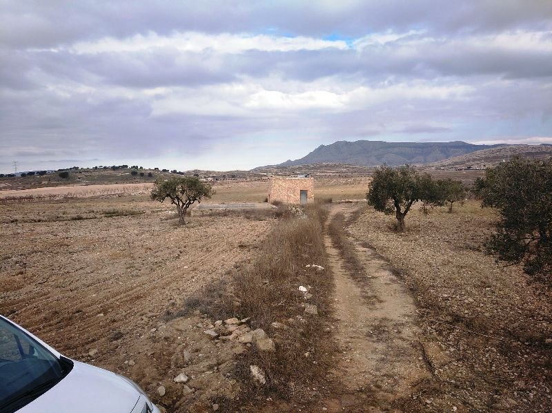 160,000 m² Land in Torre Del Rico - Caza De Casa