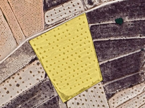 11,510 m² Land in La Solana - Caza De Casa