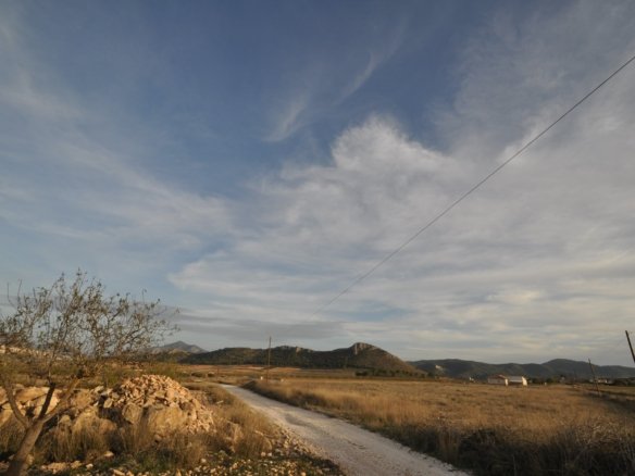 Land in Abanilla - Caza De Casa