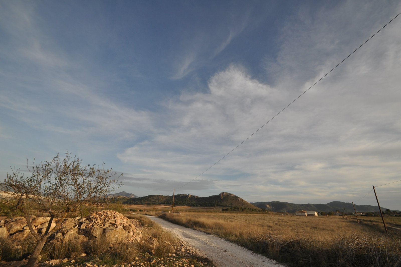 Land in Abanilla - Caza De Casa