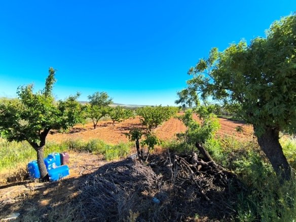 4 Bedroom 1 Bathroom Country House in Yecla - Caza De Casa