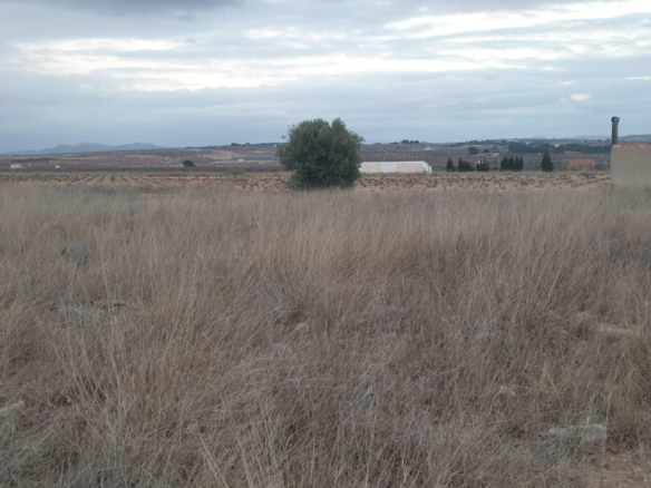 25,200 m² Land in Pinoso - Caza De Casa