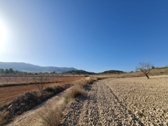 Land in Jumilla - Caza De Casa