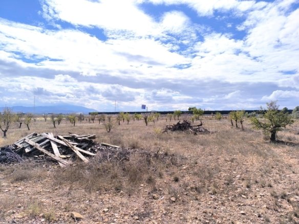 3 Bedroom 1 Bathroom Country House in Yecla - Caza De Casa