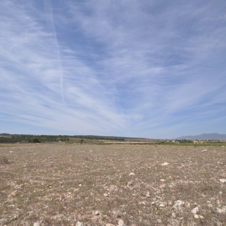Land in Pinoso - Caza De Casa