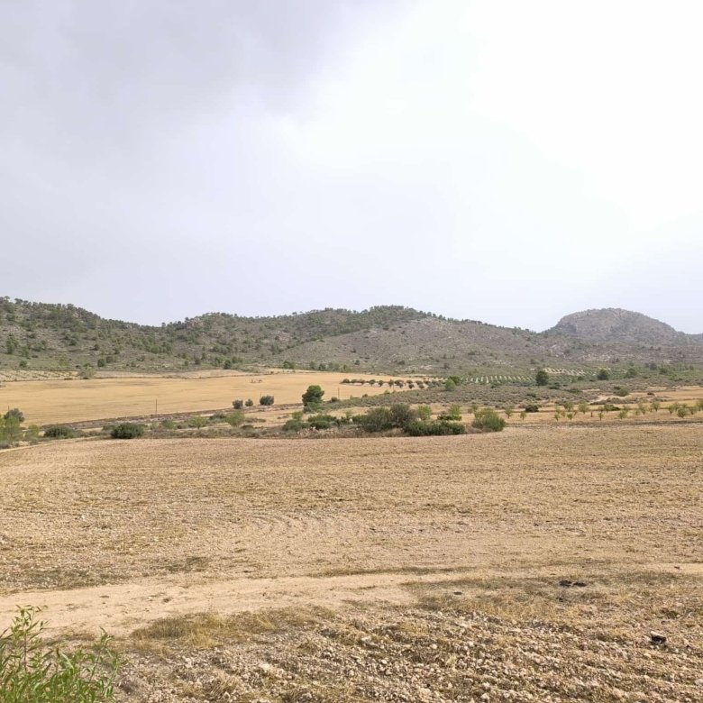 Land in Yecla - Caza De Casa