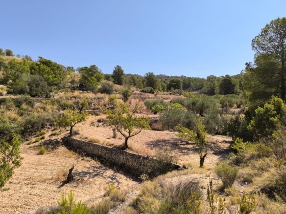 Land in Monóvar/Monóver - Caza De Casa