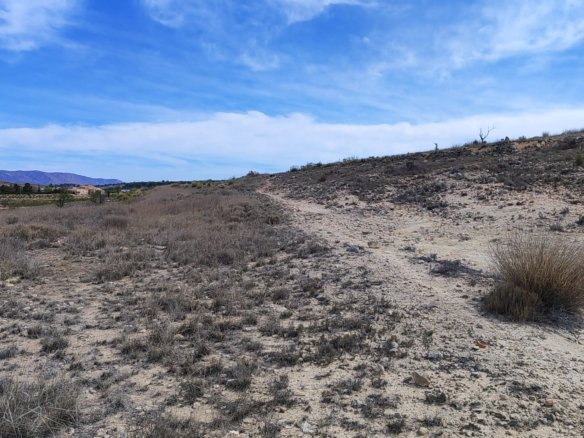 17,300 m² Land in Pinoso - Caza De Casa