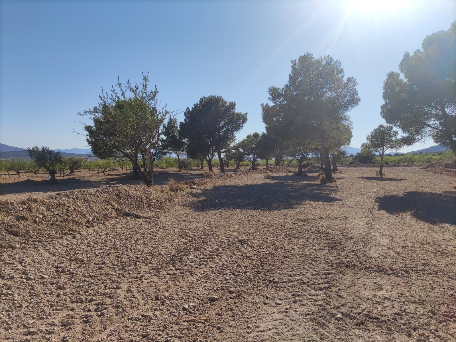 Land in Pinoso - Caza De Casa