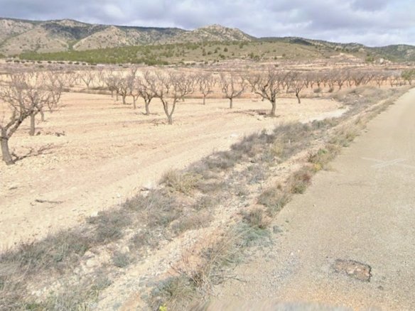 19,875 m² Land in Jumilla - Caza De Casa