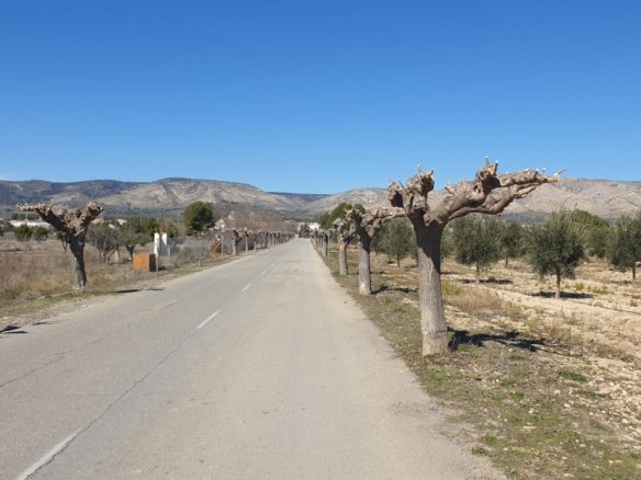 Land in Beneixama - Caza De Casa