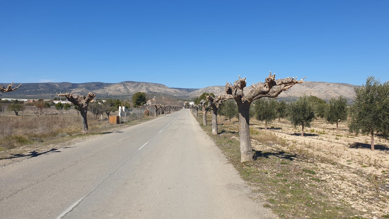 f5a85b29b0c0b18c Land in Beneixama - Caza De Casa