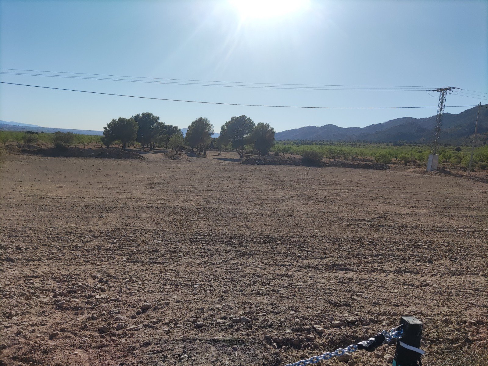 Land in Pinoso - Caza De Casa