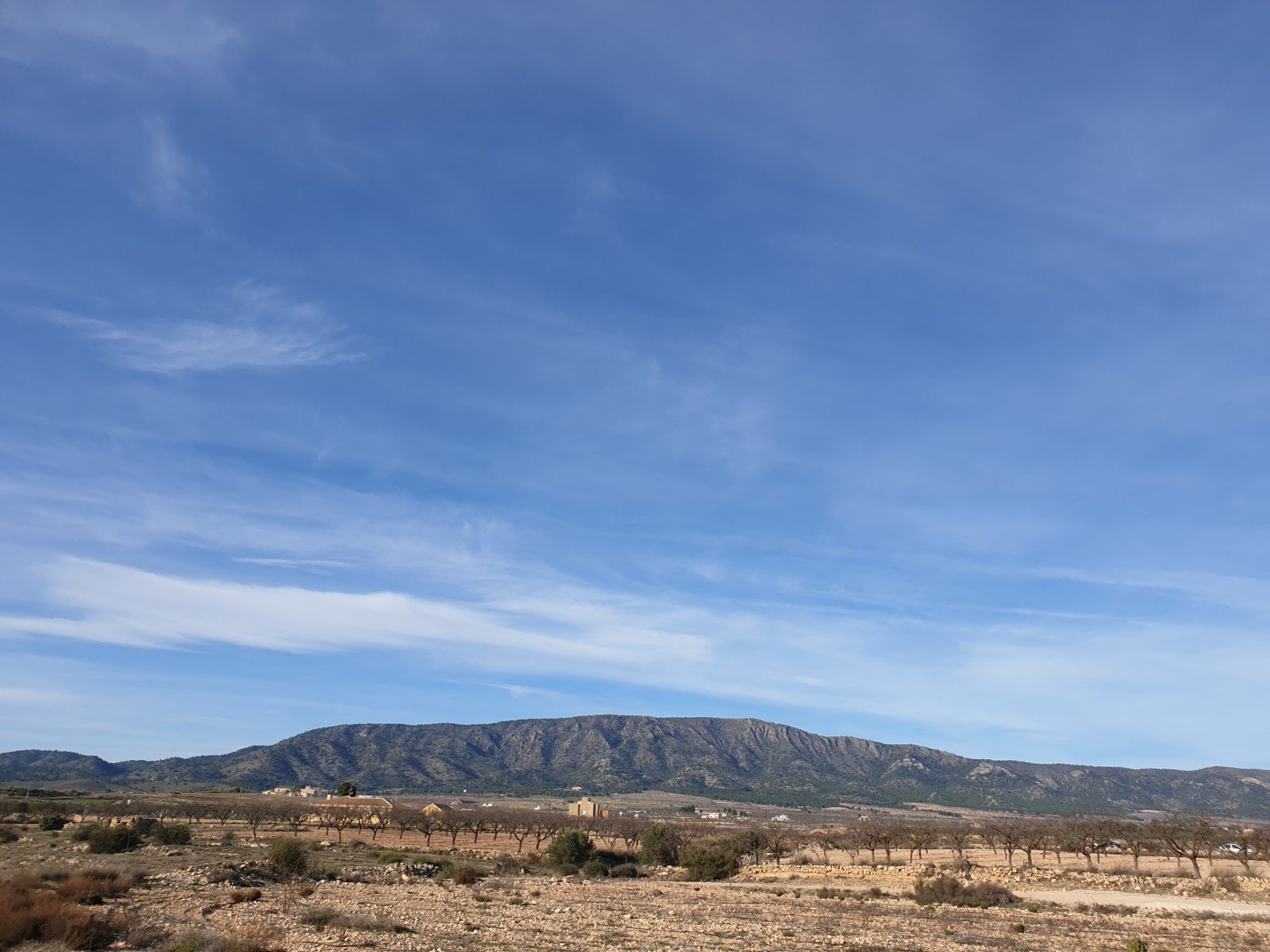 12,116 m² Land in Pinoso - Caza De Casa