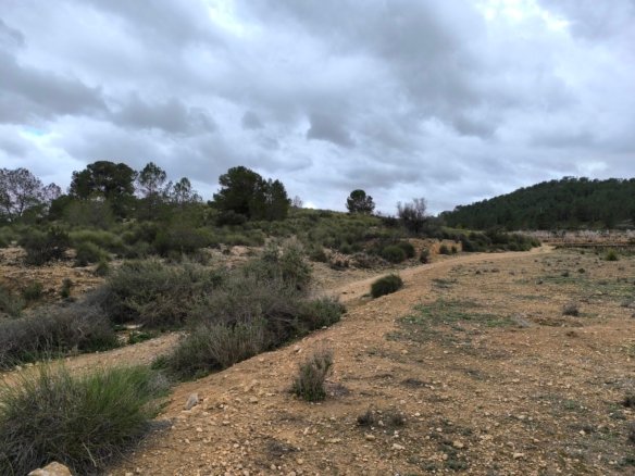 14,595 m² Land in Chinorlet - Caza De Casa