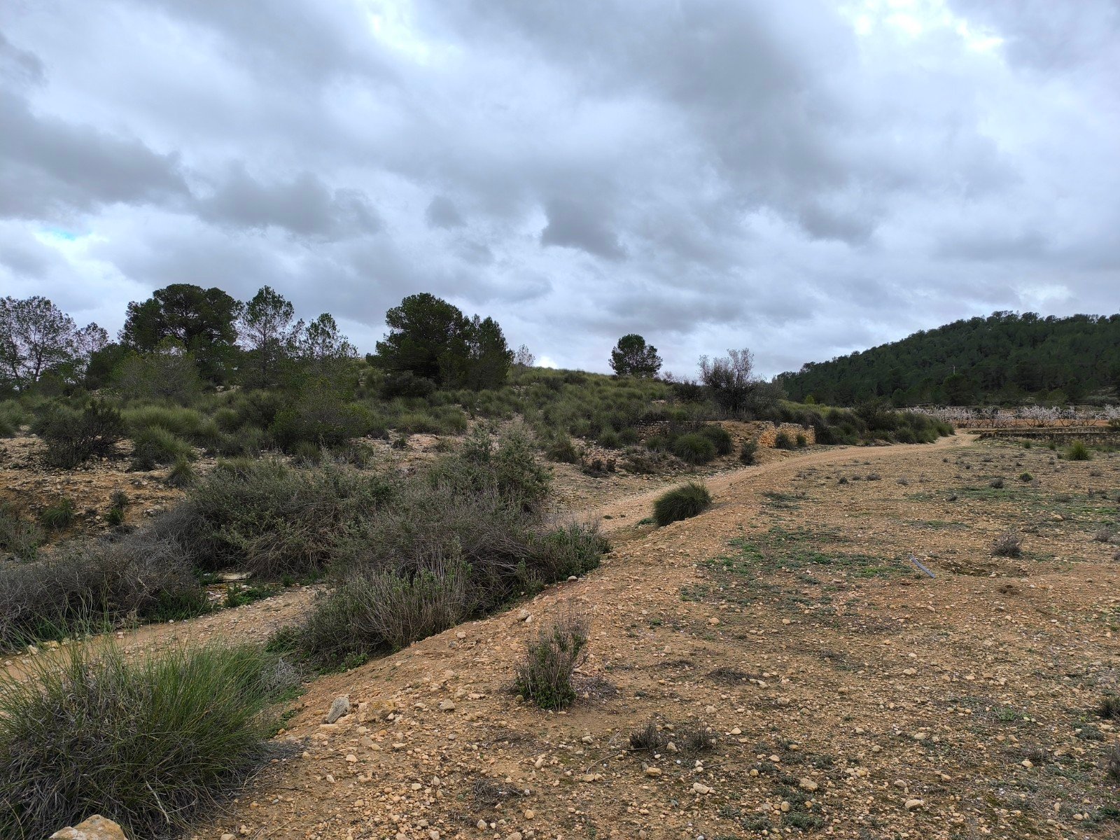 14,595 m² Land in Chinorlet - Caza De Casa