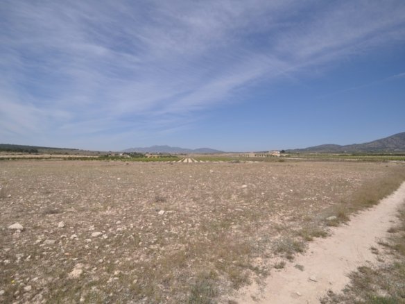 Land in Pinoso - Caza De Casa