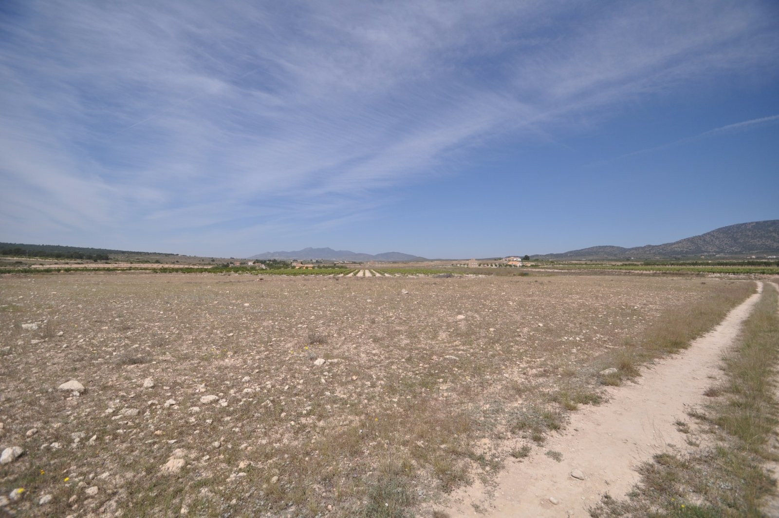 Land in Pinoso - Caza De Casa