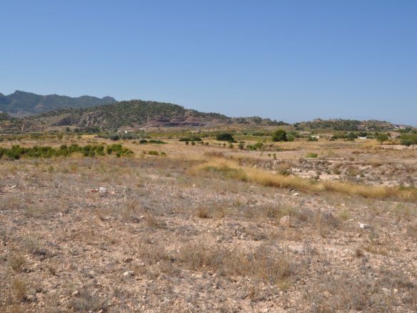 48,977 m² Land in Macisvenda - Caza De Casa