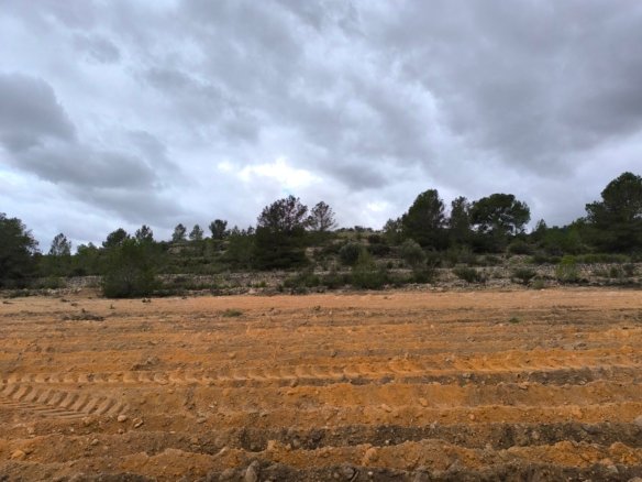 14,595 m² Land in Chinorlet - Caza De Casa