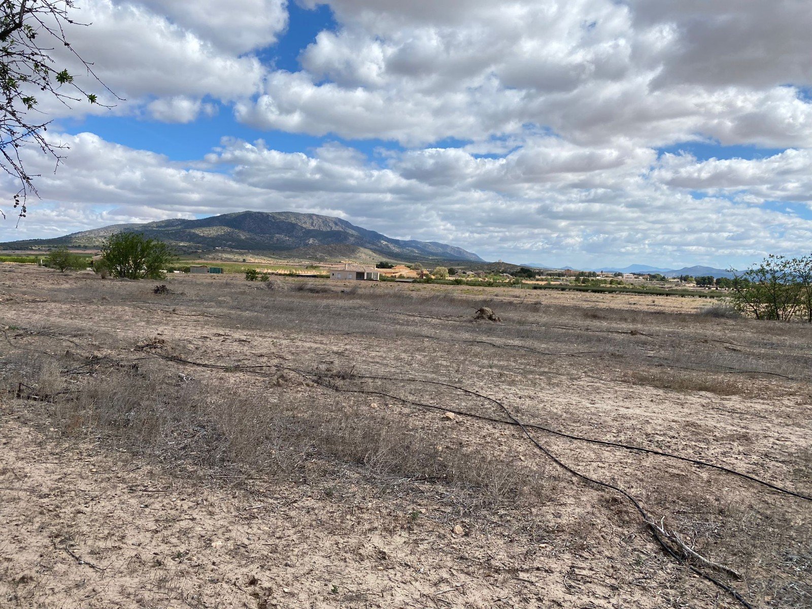 12,797 m² Land in Pinoso - Caza De Casa