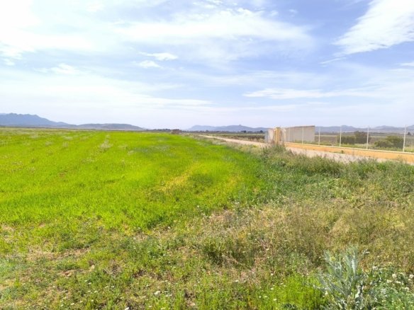 10 Bedroom 3 Bathroom Country House in Yecla - Caza De Casa