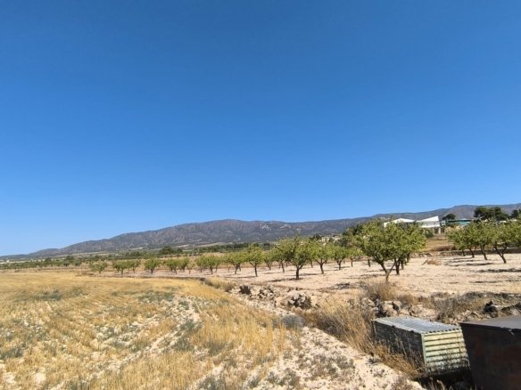 3,753 m² Land in Monóvar/Monóver - Caza De Casa