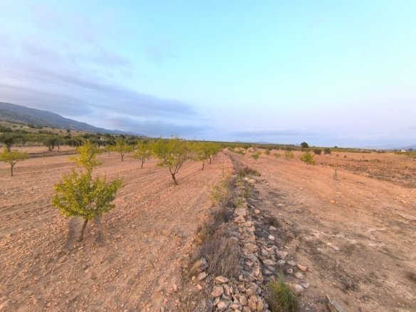12,234 m² Land in Pinoso - Caza De Casa