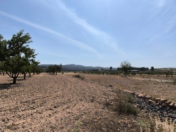 4,780 m² Land in Monóvar/Monóver - Caza De Casa