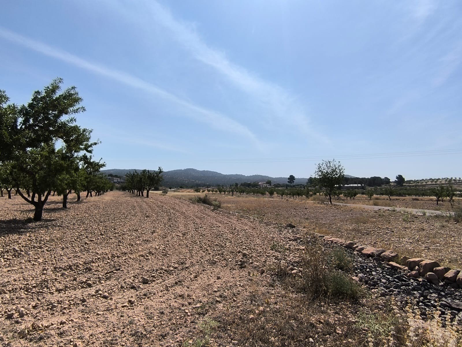 4,780 m² Land in Monóvar/Monóver - Caza De Casa