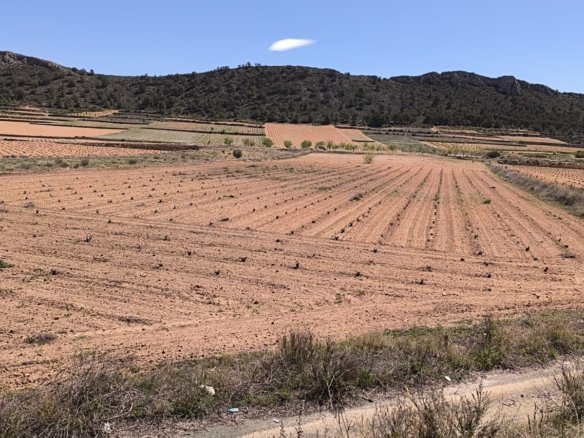 Land in Abanilla - Caza De Casa