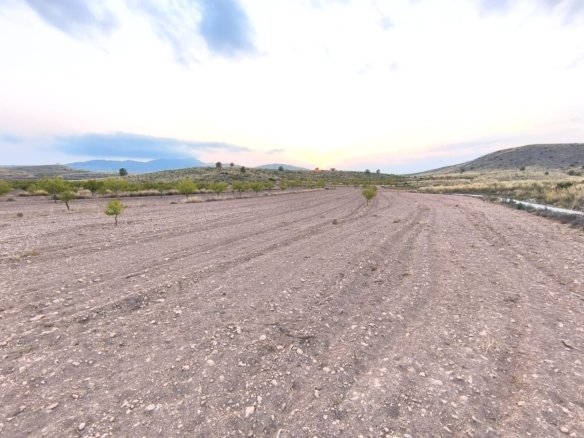 10,354 m² Land in Pinoso - Caza De Casa