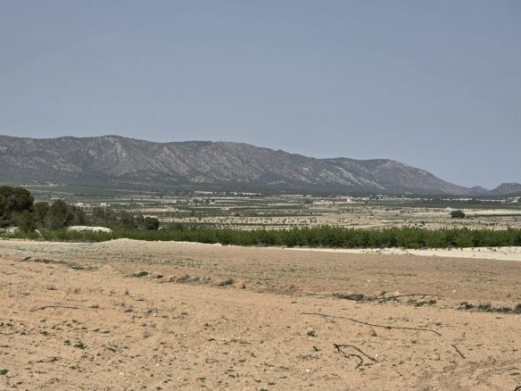 Land in Pinoso - Caza De Casa