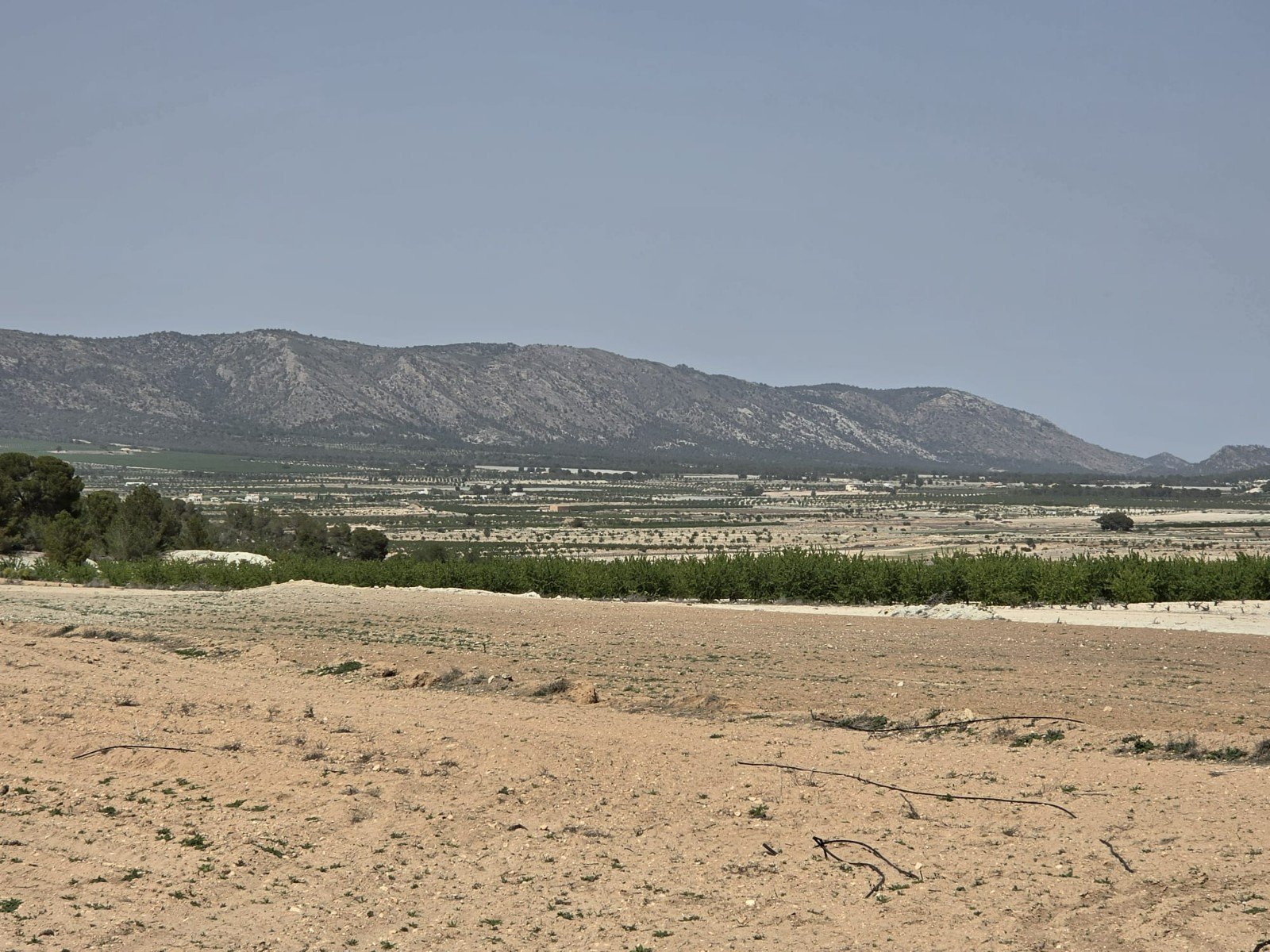 Land in Pinoso - Caza De Casa