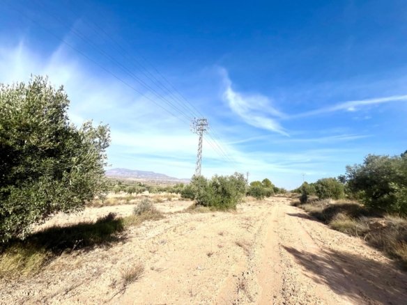 1 Bed Country House in Pinoso - Caza De Casa