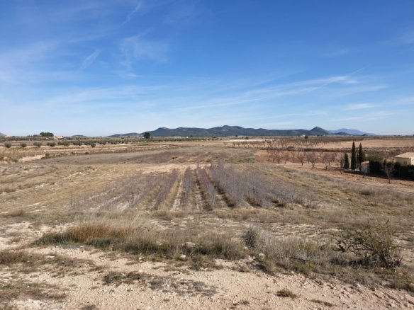11,244 m² Land in Pinoso - Caza De Casa