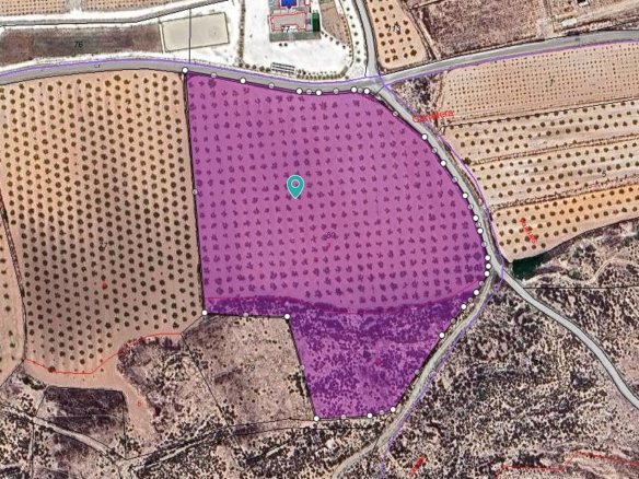 27,528 m² Land in Pinoso - Caza De Casa