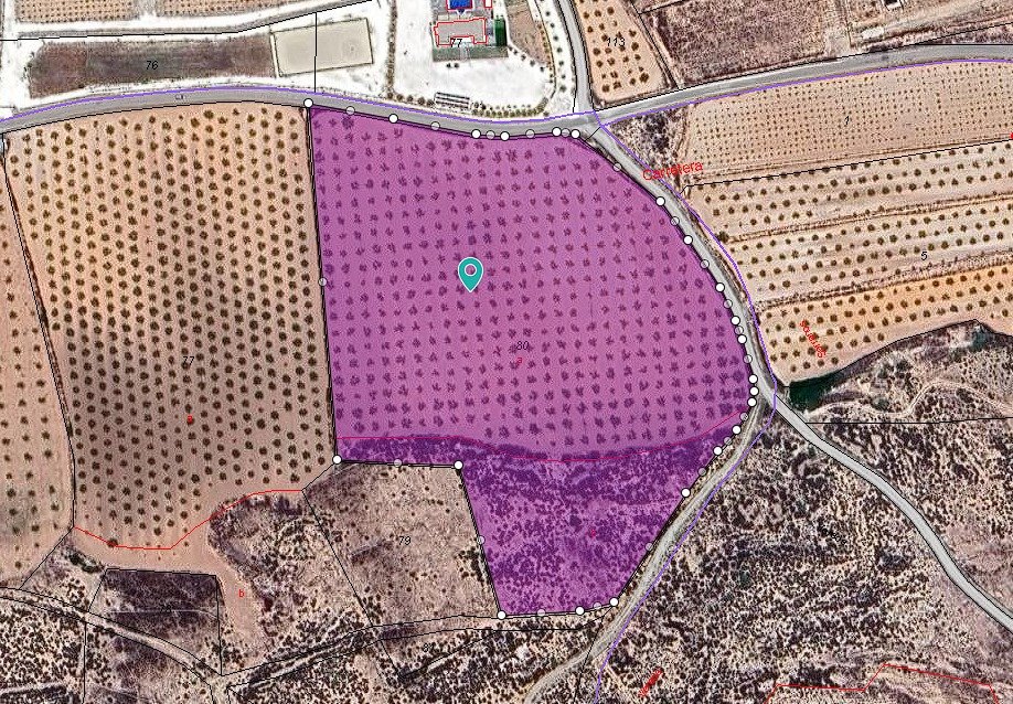 27,528 m² Land in Pinoso - Caza De Casa