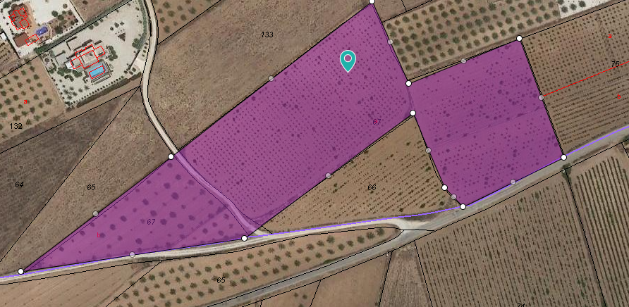27,401 m² Land in Pinoso - Caza De Casa