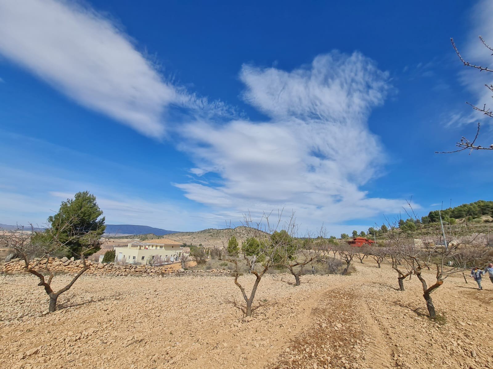 fef495662cc21200 Land in Pinoso - Caza De Casa