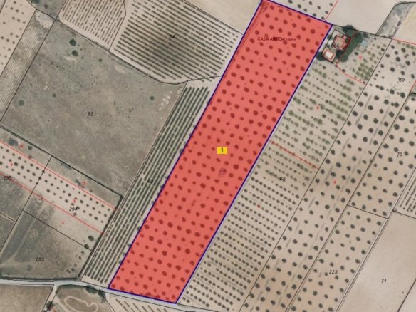 24,000 m² Land in Yecla - Caza De Casa