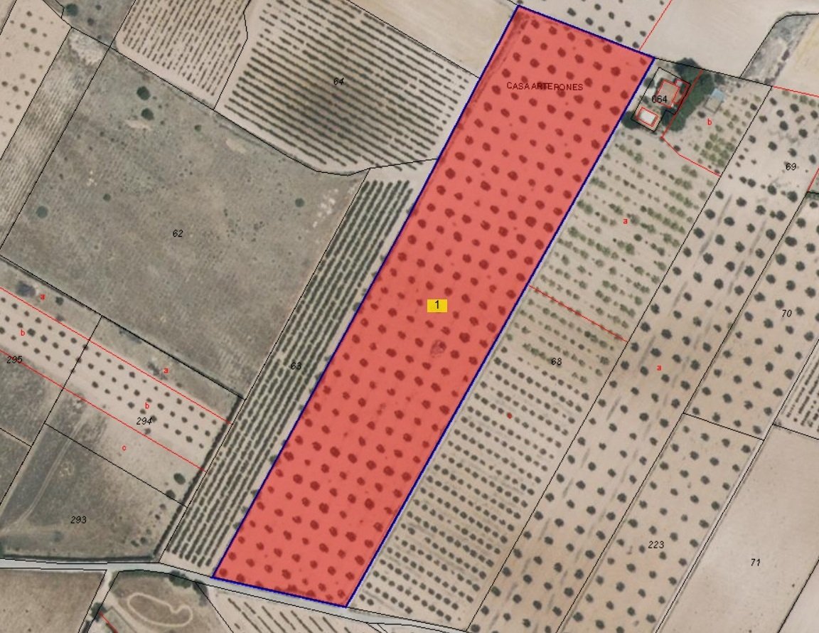 24,000 m² Land in Yecla - Caza De Casa