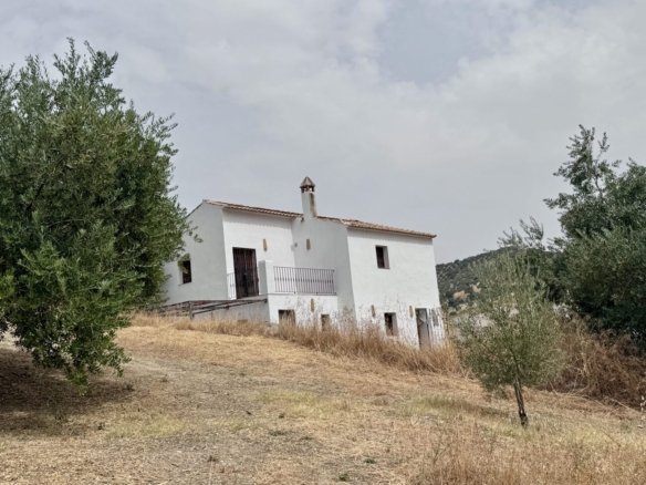 finca algarinejo bsp122 1