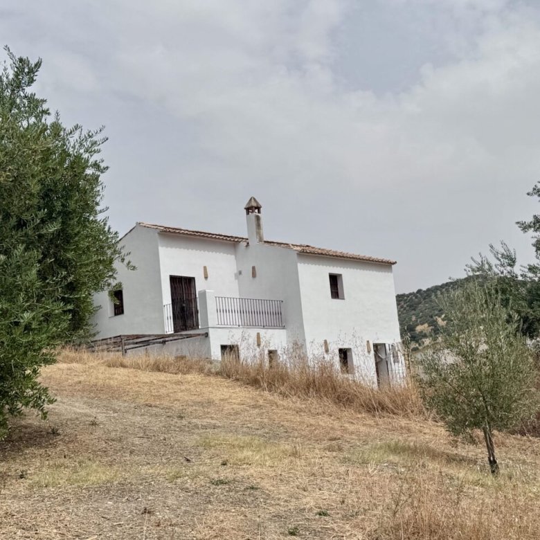 finca algarinejo bsp122 1