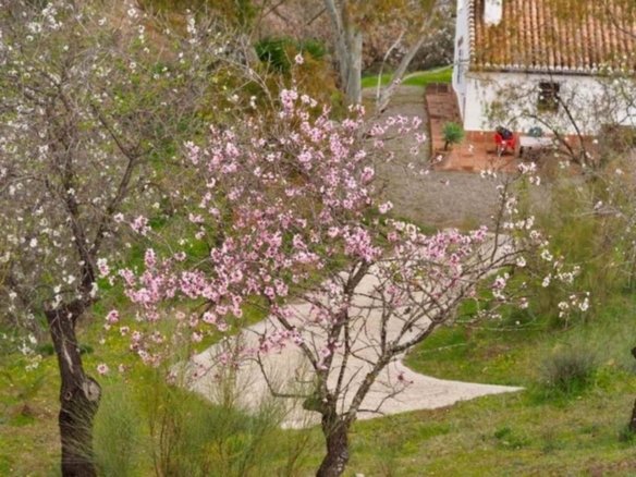 2 Bedroom 1 Bathroom Finca in Alora - Caza De Casa