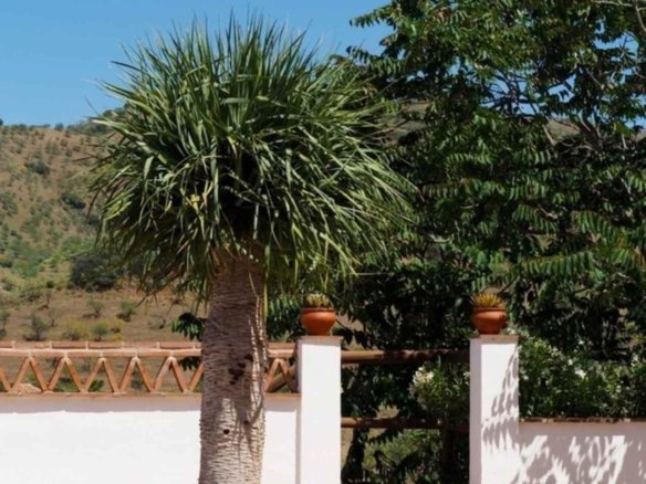 2 Bedroom 1 Bathroom Finca in Alora - Caza De Casa