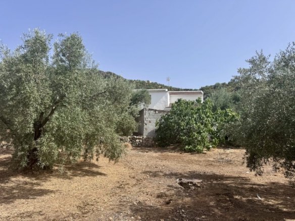 finca iznajar bsp123 2
