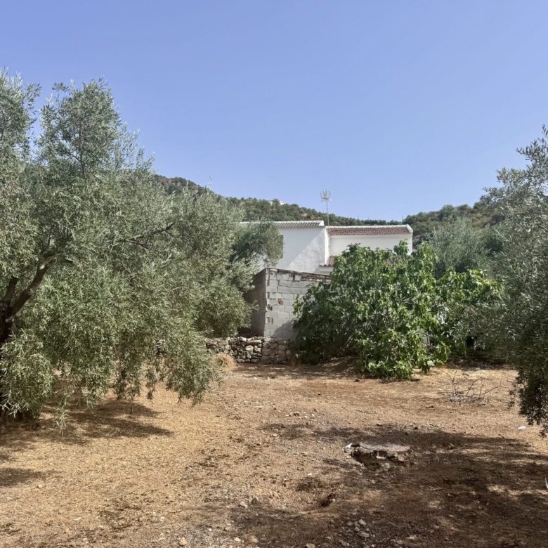 finca iznajar bsp123 2